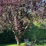 Haus Kristal Bed & Breakfast