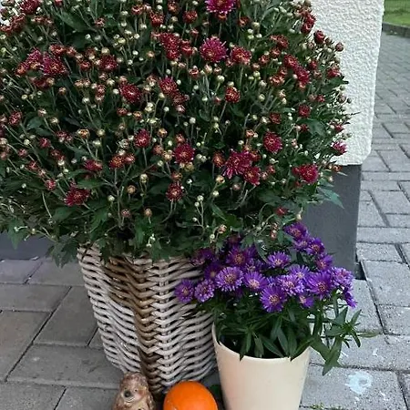 Haus Kristal Frühstückspension