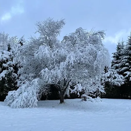 Haus Kristal Frühstückspension Walsdorf (Rhineland-Palatinate)