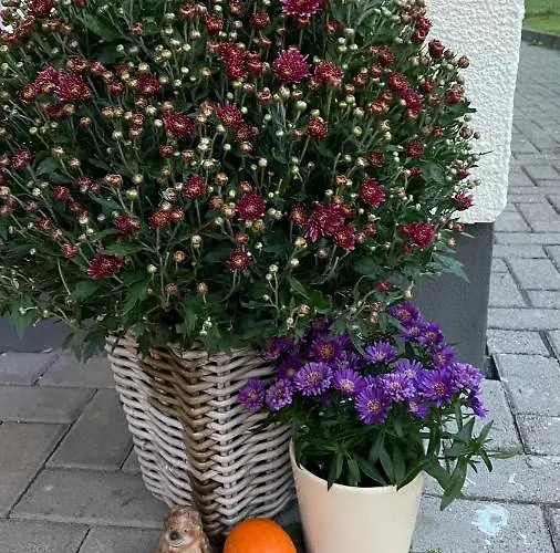 Haus Kristal Bed & Breakfast