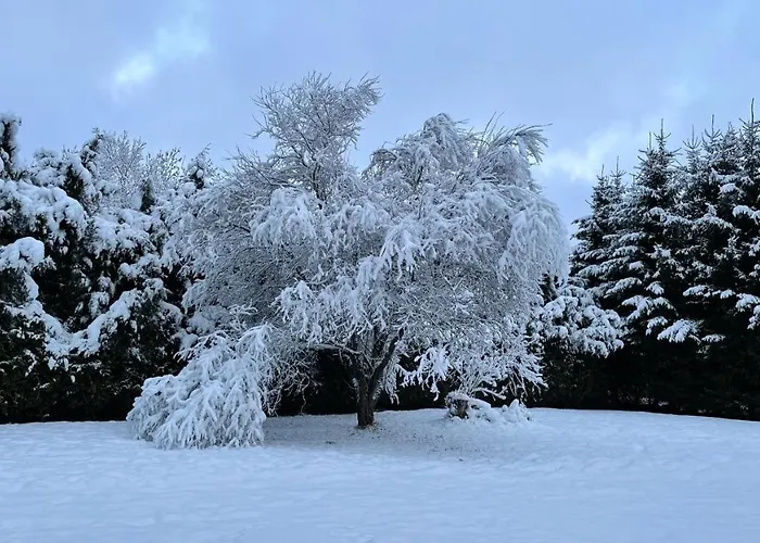 Haus Kristal Bed & Breakfast Walsdorf (Rhineland-Palatinate)